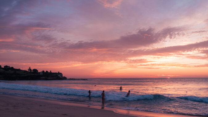 Membership renewal – now open